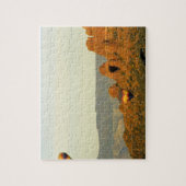 Hot Air Balloons in Sedona, Arizona, USA. Puzzle (Vertikal)