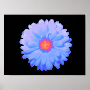 Hot and Cold Marigold Poster