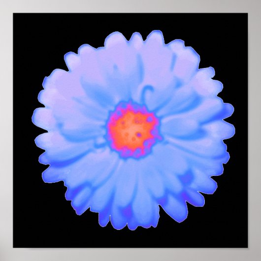 Hot and Cold Marigold Poster (Vorne)