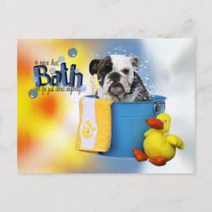 Hot Bath - English Bulldog - Delilah Postkarte