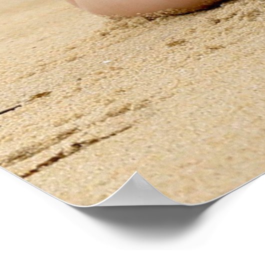 Hot ! Bikini Beach Babe Poster (Ecke)