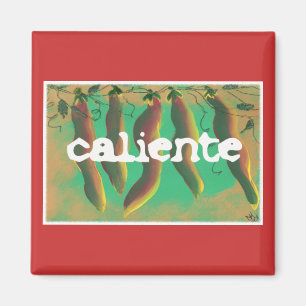 Hot Caliente Jalapeno Paprikaschoten Magnet