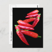 Hot Chili Peppers Postkarte (Vorne/Hinten)
