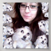 Hot Diggity Poster (Vorne)