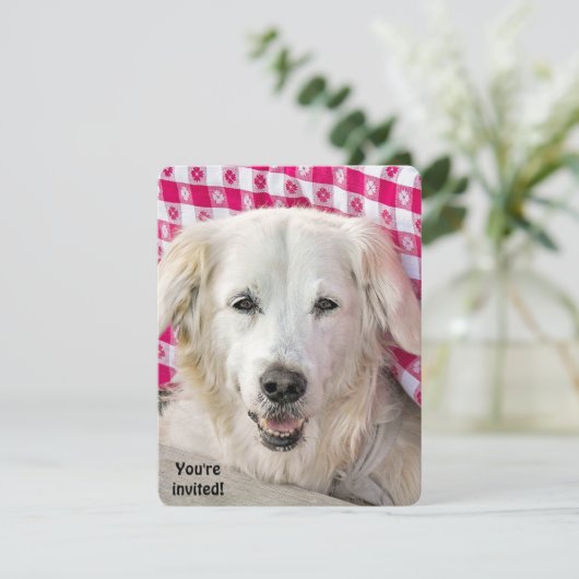 Hot Dog Fry Einladung (Stehend Vorderseite)