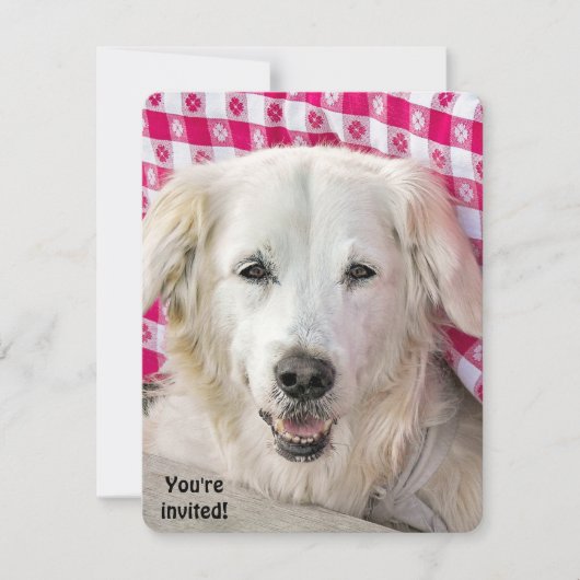 Hot Dog Fry Einladung (Vorderseite)