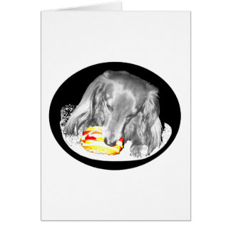 Hot Dog greift Cheeseburger an, Nachrichten um elf