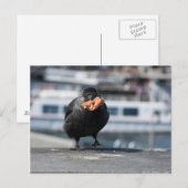 Hot Dog Jäger Postkarte (Vorne/Hinten)