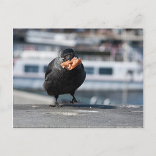 Hot Dog Jäger Postkarte