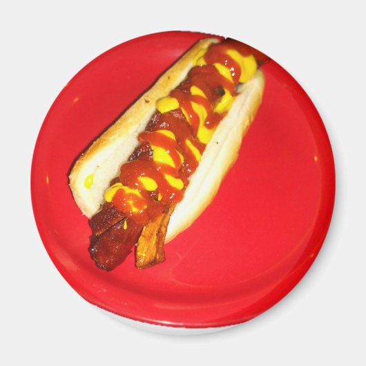 Hot Dog mit Ketchup und Senf Magnet (Vorne)