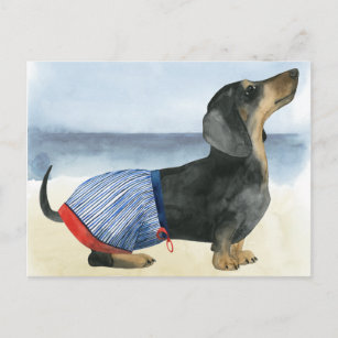Hot Dog   Welpe im Schwimmbecken Postkarte
