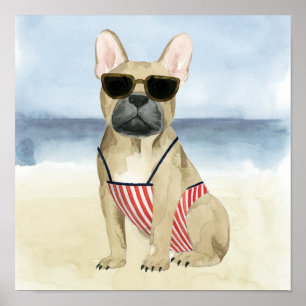 Hot Dog   Welpe in Sonnenbrille am Strand Poster