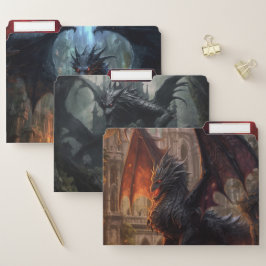 Hot Dragon File Folders Papiermappe