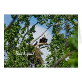 Hot Eagles Dankeschön Card (Vorderseite (Horizontal))