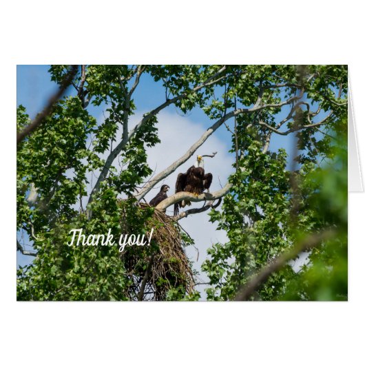 Hot Eagles Dankeschön Card (Vorderseite (Horizontal))