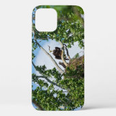 Hot Eagles iPhone Case (Rückseite)