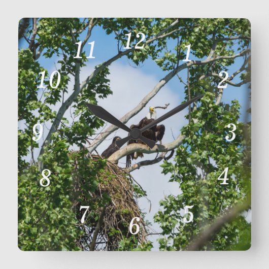 Hot Eagles Wall Clock Quadratische Wanduhr (Vorderseite)