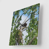 Hot Eagles Wall Clock Quadratische Wanduhr (Winkel)