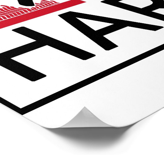 Hot Harpist Poster (Ecke)