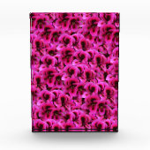 Hot Magenta Geranium Blume, Fotoblock (Vorderseite)
