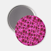 Hot Magenta Geranium Blume, Magnet (Vorderseite/Rückseite)