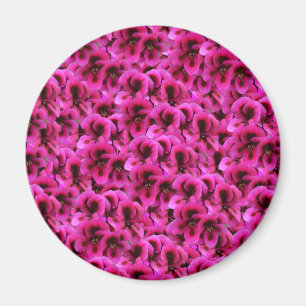 Hot Magenta Geranium Flowers, Magnet