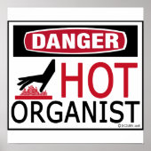 Hot Organist Poster (Vorne)