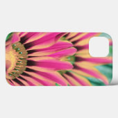 Hot Pink African Daisy Case-Mate iPhone Hülle (Rückseite (Horizontal))