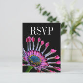Hot Pink African Daisy Wedding RSVP Postcard Einladungspostkarte (Stehend Vorderseite)