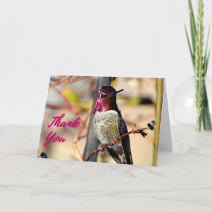 Hot Pink Anna's Hummingbird Foto Dankeschön Karte