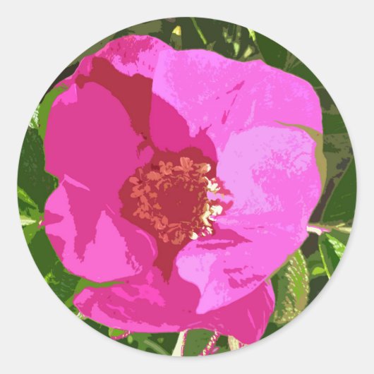 Hot Pink Beach Rose Digital Art Sticker (Vorderseite)