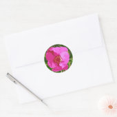 Hot Pink Beach Rose Digital Art Sticker (Umschlag)