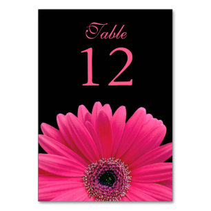Hot Pink Black Gerber Daisy Wedding Tischnummer