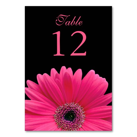 Hot Pink Black Gerber Daisy Wedding Tischnummer (Vorderseite)