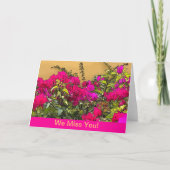 Hot Pink Blume - Curacao Karte (Vorderseite)