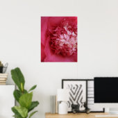 Hot Pink Camellia Poster (Heimbüro)