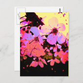 Hot Pink Cherry Blossom Postkarte (Vorne/Hinten)
