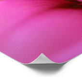 Hot Pink Dahlia Poster (Ecke)