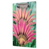 Hot Pink Daisy Klemmbrett (Links)