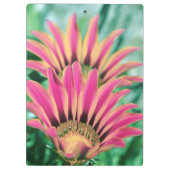 Hot Pink Daisy Klemmbrett (Rückseite)
