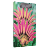 Hot Pink Daisy Klemmbrett (Rechts)