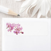 Hot Pink Dendrobium Orchid-Blume Orchideen Vorlage (Insitu)