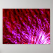 Hot Pink Firewall Poster (Vorne)