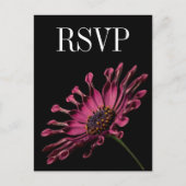 Hot Pink Fuchsia Daisy Wedding RSVP Postkarte (Vorderseite)