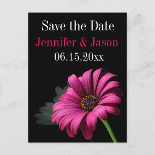 Hot Pink Fuchsia Gerber Daisy Speichern Sie die Da Ankündigungspostkarte