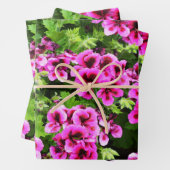 Hot Pink Geranium Blume Bush, Gift Wrap Sheets, Geschenkpapier Set (Beispiel)