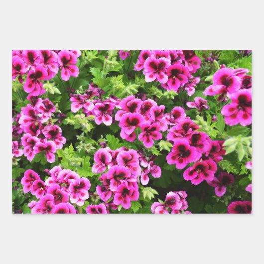 Hot Pink Geranium Blume Bush, Gift Wrap Sheets, Geschenkpapier Set (Vorderseite)