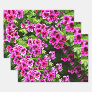 Hot Pink Geranium Blume Bush, Gift Wrap Sheets, Geschenkpapier Set