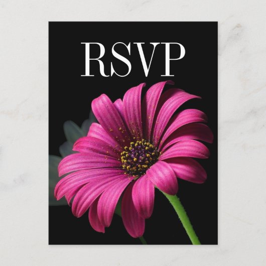 Hot Pink Gerber Daisy Wedding RSVP Postcard Einladungspostkarte (Vorderseite)
