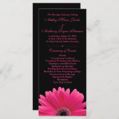 Hot Pink Gerbera Daisy Black Wedding Program Programm (Vorne/Hinten)